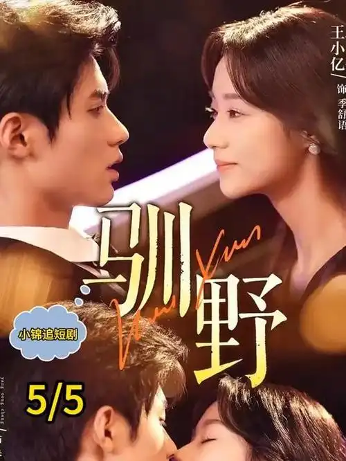 短剧在线观看-厨神小娘子